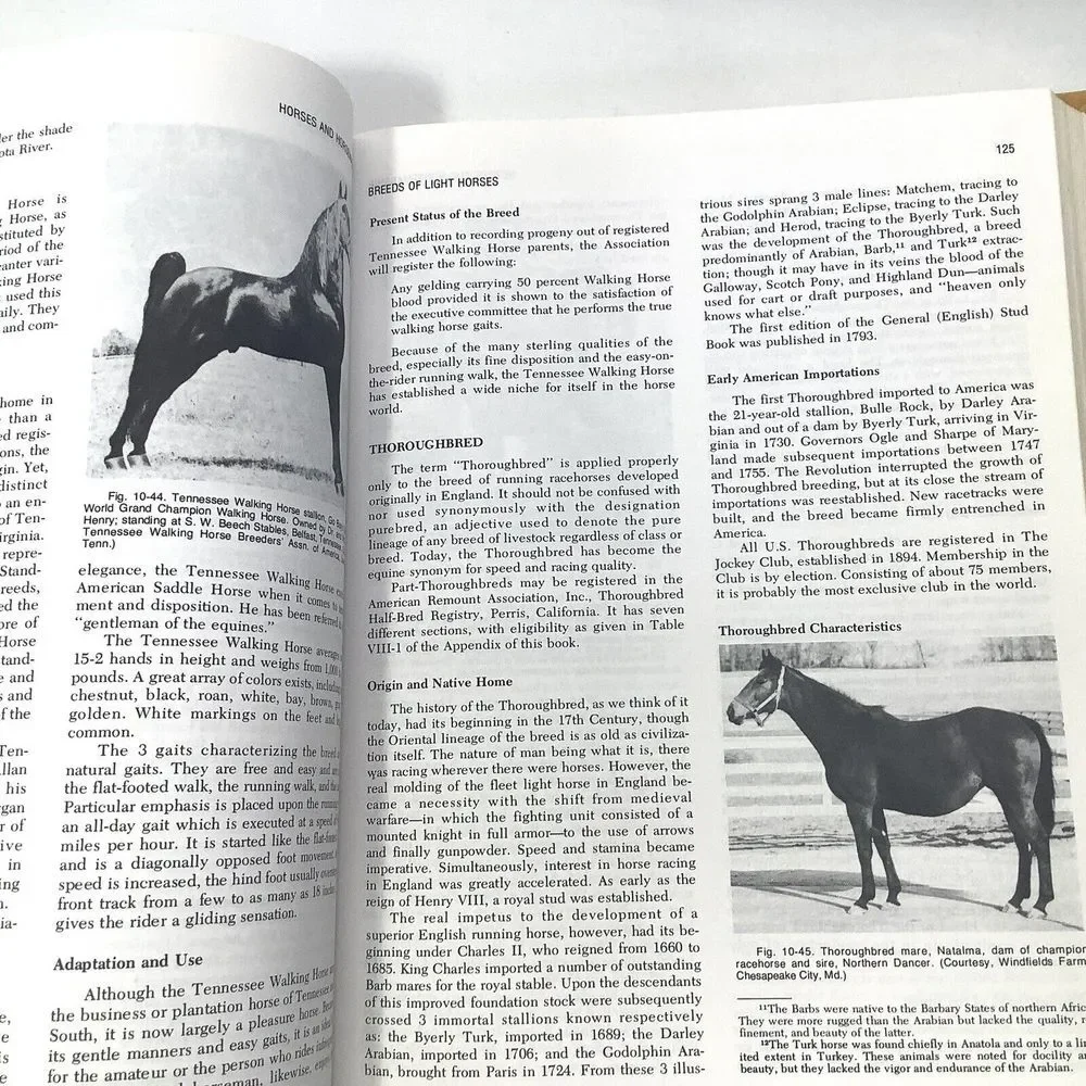 Horses And Horsemanship Book‎ By Ensminger Animal Agriculture Series 5th edition